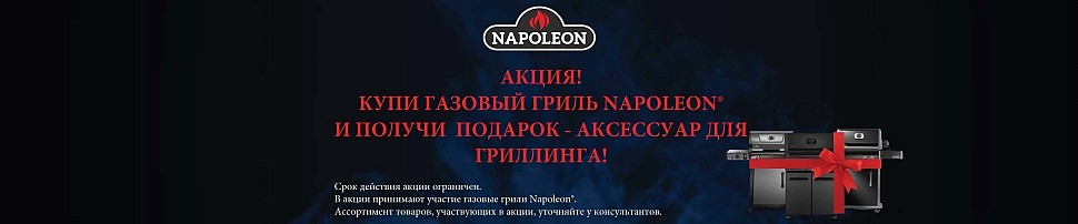 Газовые грили Rogue Napoleon в